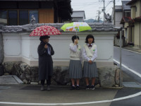 IMGP3918