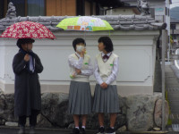 IMGP3916