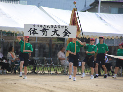 6D5A6829