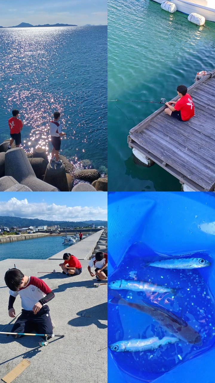 ④